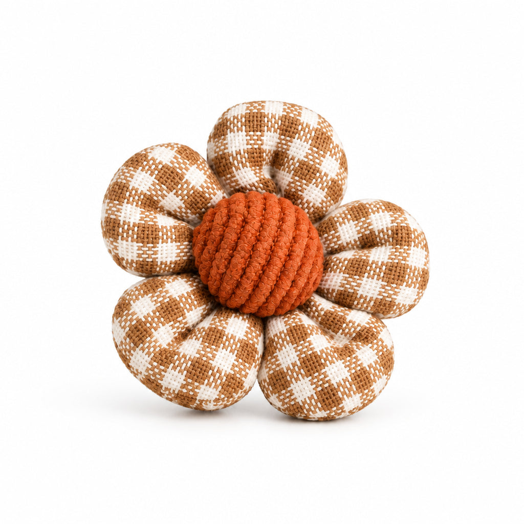 Pumpkin Bloom